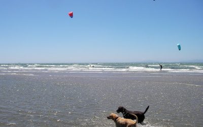 imgi_31_polveriera-kite13